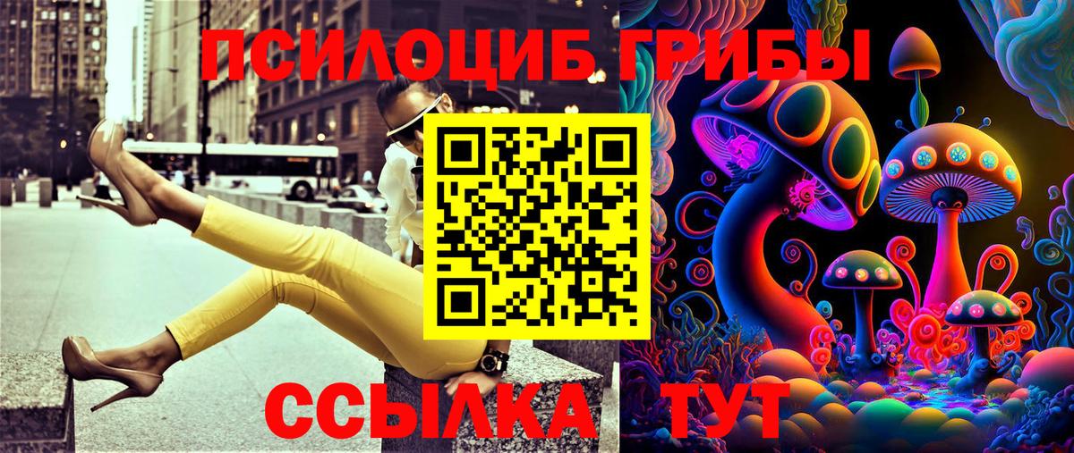 Галлюциногенные грибы мицелий  Вход с VPN  закладки  Отрадный 